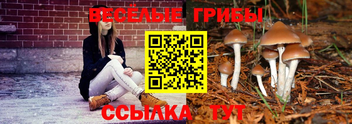 Галлюциногенные грибы Magic Shrooms  Вход с VPN  Черняховск 