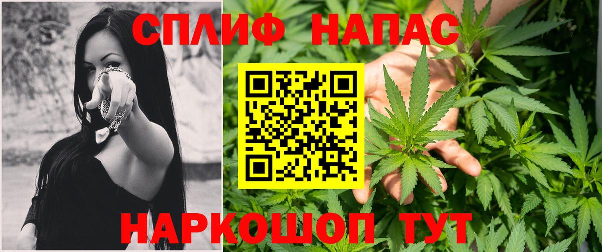 Марихуана план Черняховск